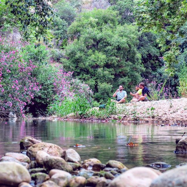 Somewhere only we know...  hike  river  forest  flowers  rocks  stones ...