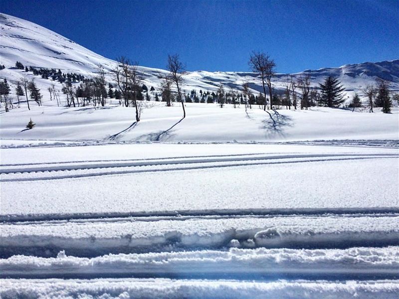 Somewhere to get lost.  keepgoing  nature  snow  landscape  roadtrip ...