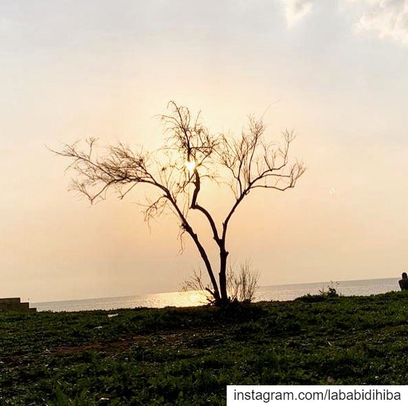  somewhereoutthere  travelphotography  photography  lebanon  tyre ...