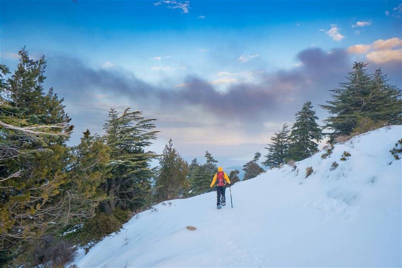 Soon ... ❄❄ Lebanon  livelovelebanon  Letshike 🏂 (Al Qubayyat, Liban-Nord, Lebanon)