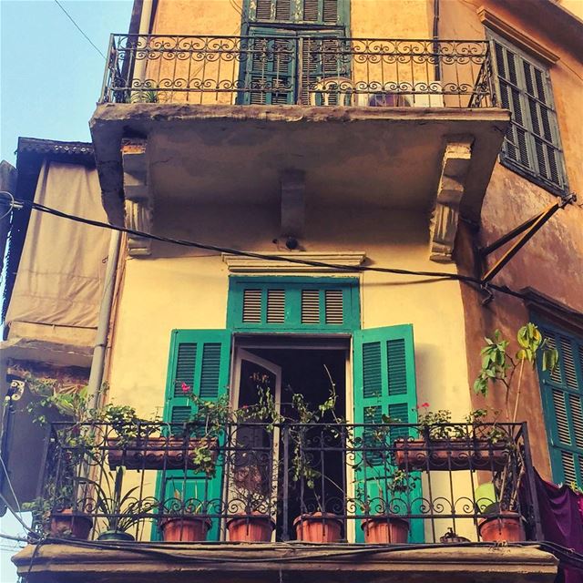 Soothing greens☘️ livelovebeirut  lebanonbyalocal ... (Beirut, Lebanon)