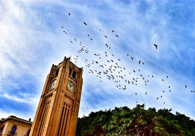 @soukelakel  soukelakel  nejmehsquare  downtownbeirut  lebanoninapicture ...