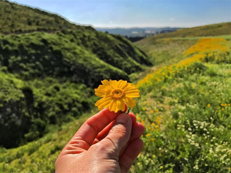 South Lebanon  lebanon  travel  insta_jezzine  ptk_lebanon  lebanon_hdr ... (Beflay-jnoub)