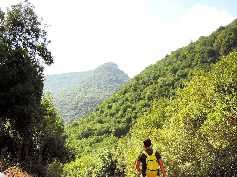 South Lebanon 🌲 lenanon  south  naturelovers  naturelovers  nature ... (Zebquine South Lebanon)