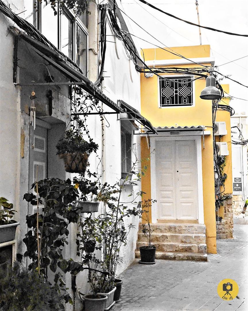 📍south of lebanon/ sour  livelovelebanon  livelovetyre  oldcity ... (مدينة صور - Tyre City)