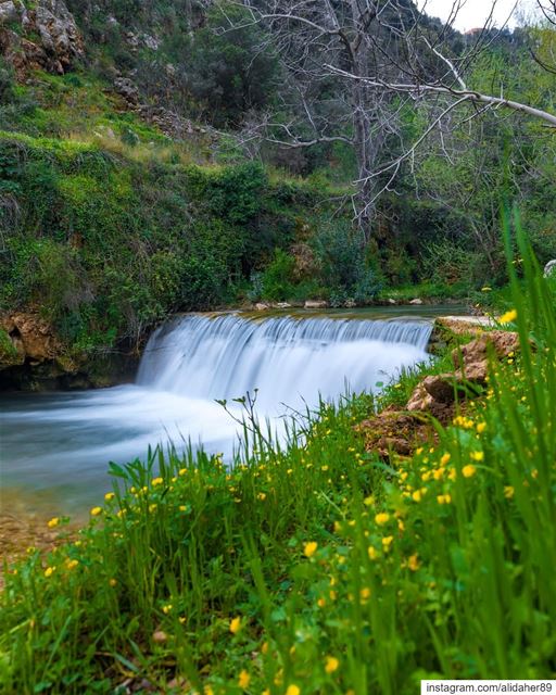 Southern beauty 🏞....... landscapephotography naturephotography... (Nabatieh Governorate)