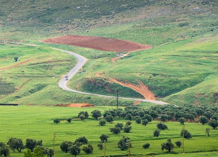 Southern roads  lebanon  letsgosomewhere ... (Jarmaq, Al Janub, Lebanon)