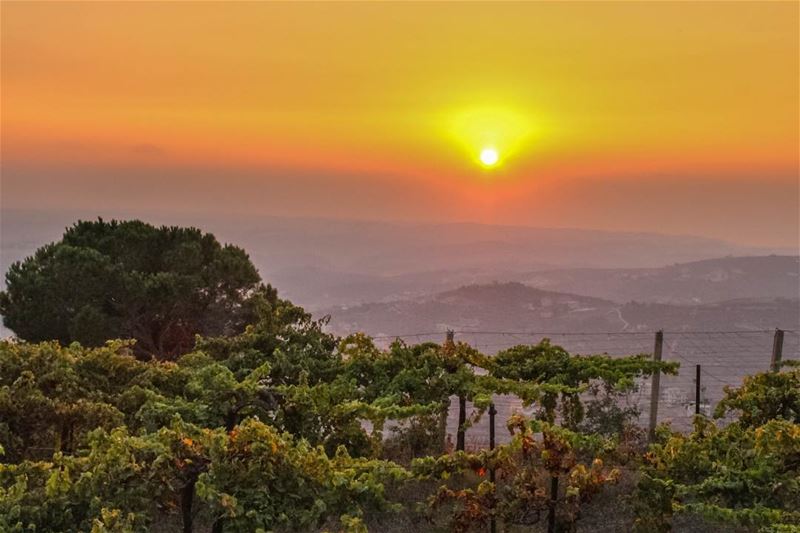  southern sunset sunshine Mountains jarjou3 clouds lebanon photography... (Jarjou`, Al Janub, Lebanon)