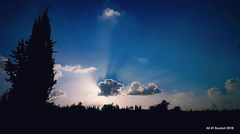  southlebanon  kherbetaldwair  sunset  sun  rays  clouds  sky  tb  tree ... (Kherbet Al Dwair)