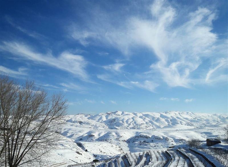 Sparkling like a million little suns😍😍❤❤❄☃ضهر البيدر travel  snow  view...