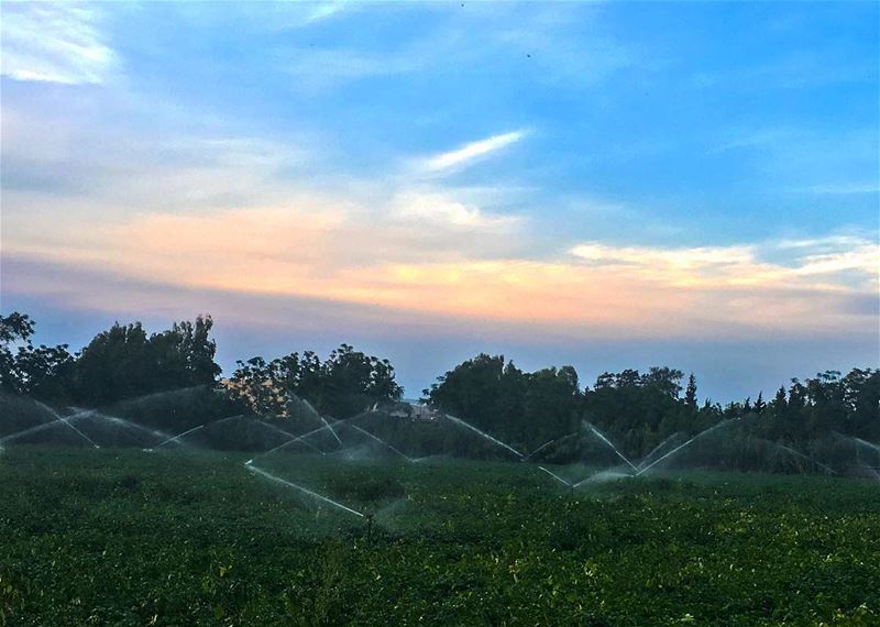 Sparkling...... wearelebanon  livelovelebanon  proudlylebanese ... (`Akkar, Liban-Nord, Lebanon)