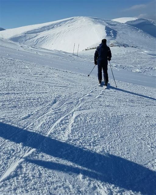 speed  ski  skiing  mzaar  kfardebian  lebanon  lebaneese  beautiful ... (Intercontinental Faraya Mzaar)