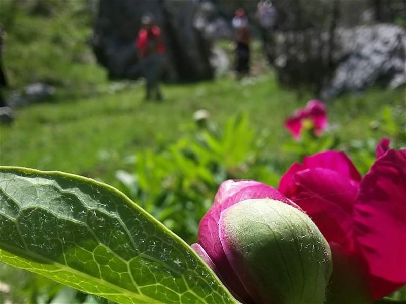 Spend your Sunday in  JabalMoussa as this will bring a week of content....