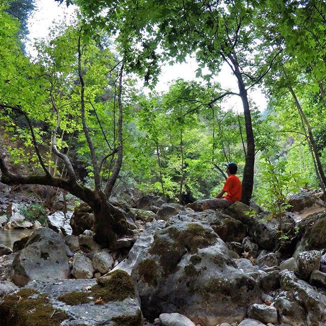 Spending time alone in nature can do wonders for your peace of mind 🌳 🗻