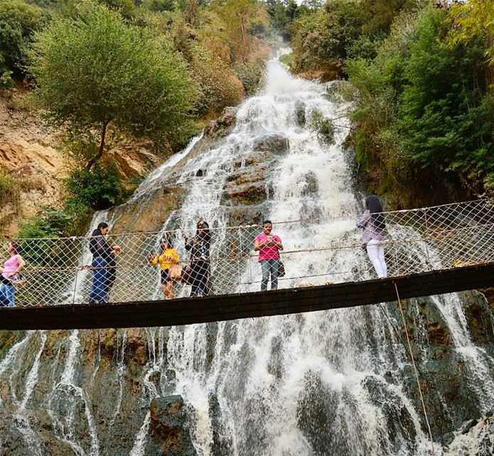 Splendid view😍 waterfall  bridge  photography  naturephotography ...