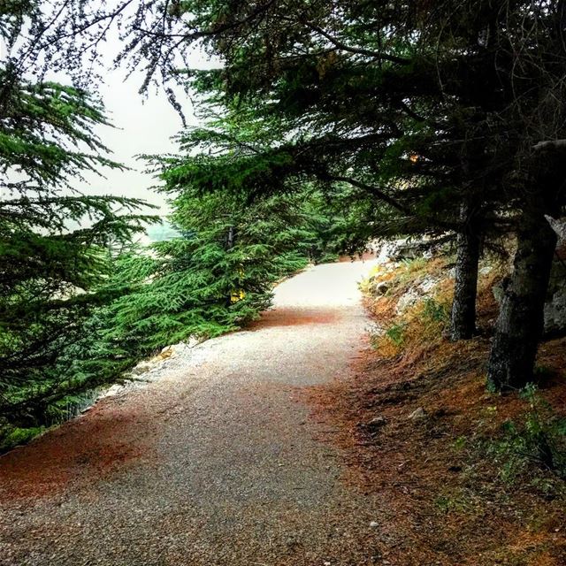 ~..Spoil your Soul..~ 🕊 lustforlife  thewayyouread  thewayyoufeel ... (Falougha, Mont-Liban, Lebanon)