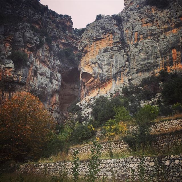 Spot the lazy face 😴 lazy  rock  face  therock  sleep  sleepy  tuesday ... (Tannourine)