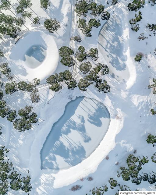 Spot the snowman ☃️ 😯... falougha  lebanon  pine  snow  winter  dji ... (Falougha, Mont-Liban, Lebanon)