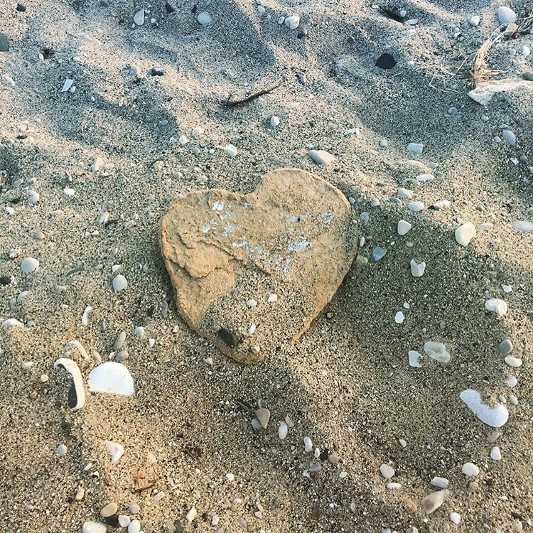 ❤ spotted on the Okaibeh's trashed beach which gets our rescuing in March � (Naher Ibrahim)