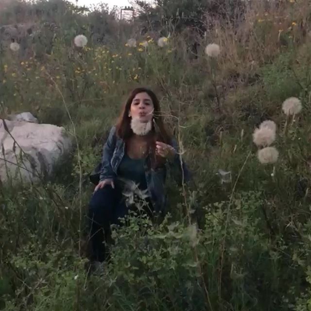 ~..Spreading my dreams into the Wild..~ ❄️🧚🏾‍♀️🇱🇧 dandelions  tyr ... (Tyre, Lebanon)