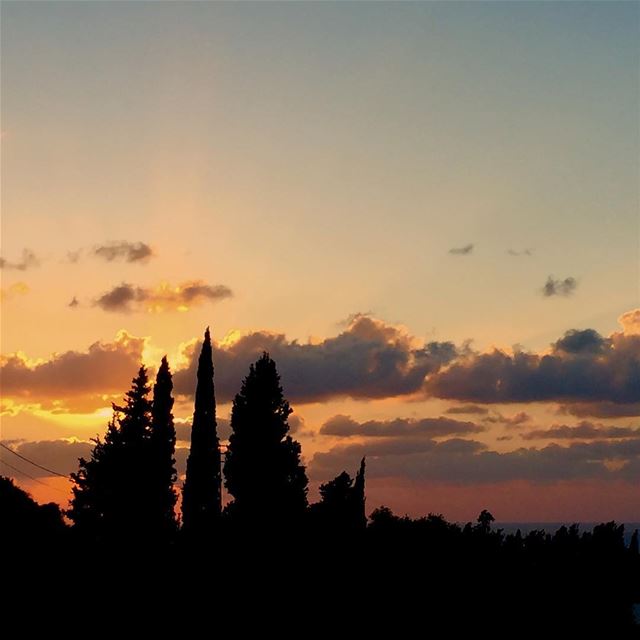 Spring 2017 Last Sunset! as seen from Rasmasqa behind tall cypress trees... (Rasmasqa Al Koura)