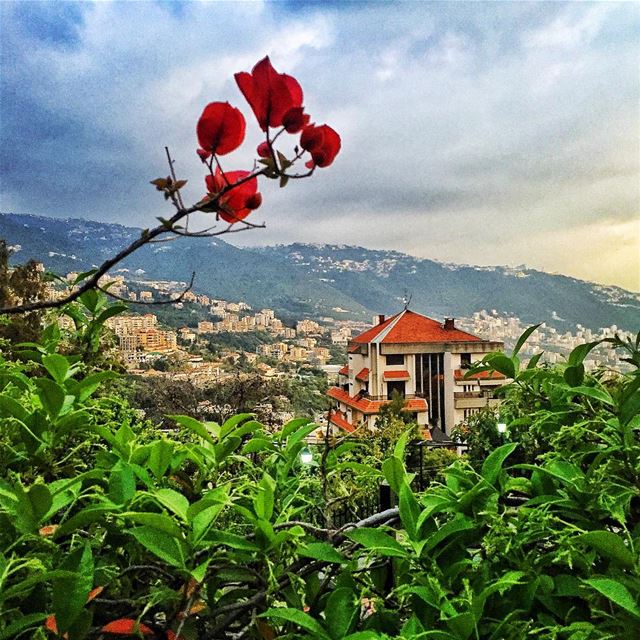 Spring 🌹... (Adma, Mont-Liban, Lebanon)