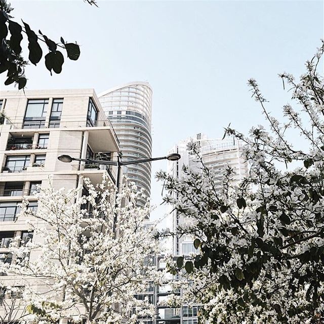 Spring air. ... (Beirut, Lebanon)