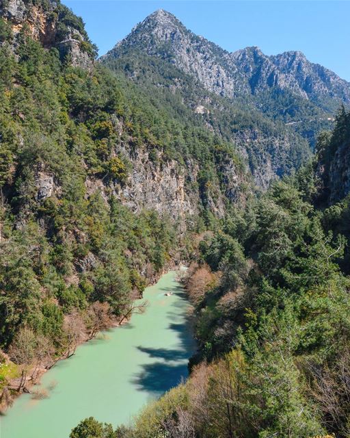 spring at chouwen 🌲🌳🍃🌻.... nature landscape forest valley lake... (Chouwen)