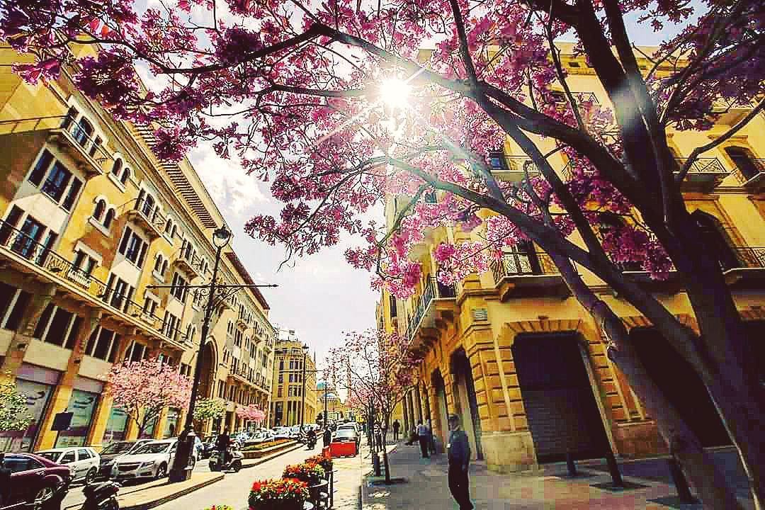 Spring has  already started in Beirut 🏡 🇱🇧 (@afpphoto)  lebanon ...