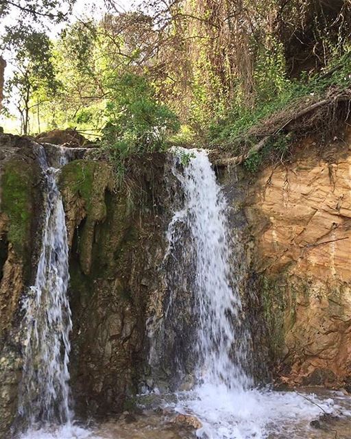  Spring has  sprung in the  Aley  countryside 🏞🏞  instanature  instafun ... (Aley)