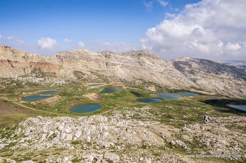 Spring have just started in Laqlouq - The famous Akoura Ponds