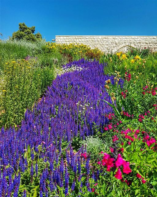 Spring in full color  at Ixir  spring  ixirwinery  ixirwine  iloveixir ... (Ixir Winery)