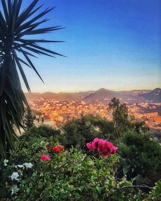 Spring in Lebanon 🌿🌺🌱🌼🌹🍀  livelovelebanon  livelovejounieh ... (Adma, Mont-Liban, Lebanon)