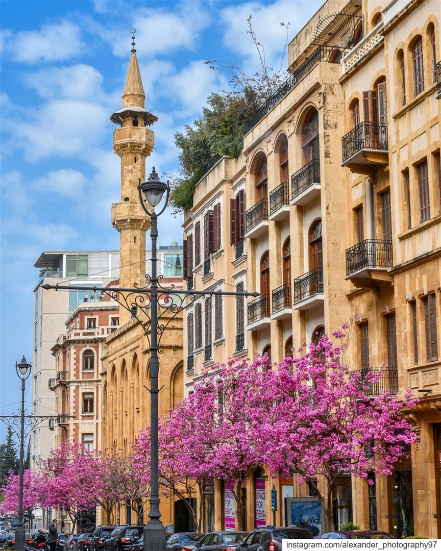 Spring in Lebanon - The blooming streets of Beirut Downtown 🌺🌺 lebanon ... (Beirut, Lebanon)