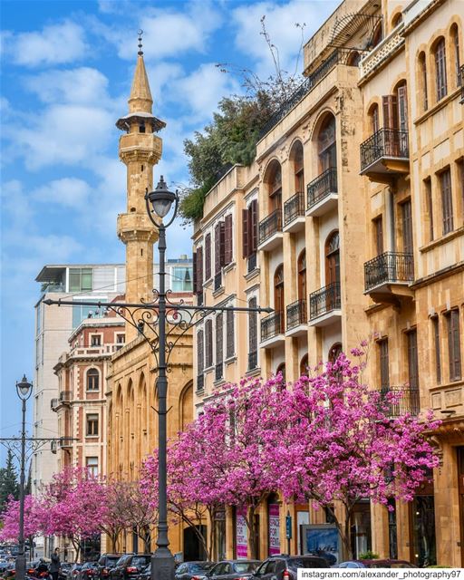 Spring in Lebanon - The blooming streets of Beirut Downtown 🌺🌺 lebanon ... (Beirut, Lebanon)