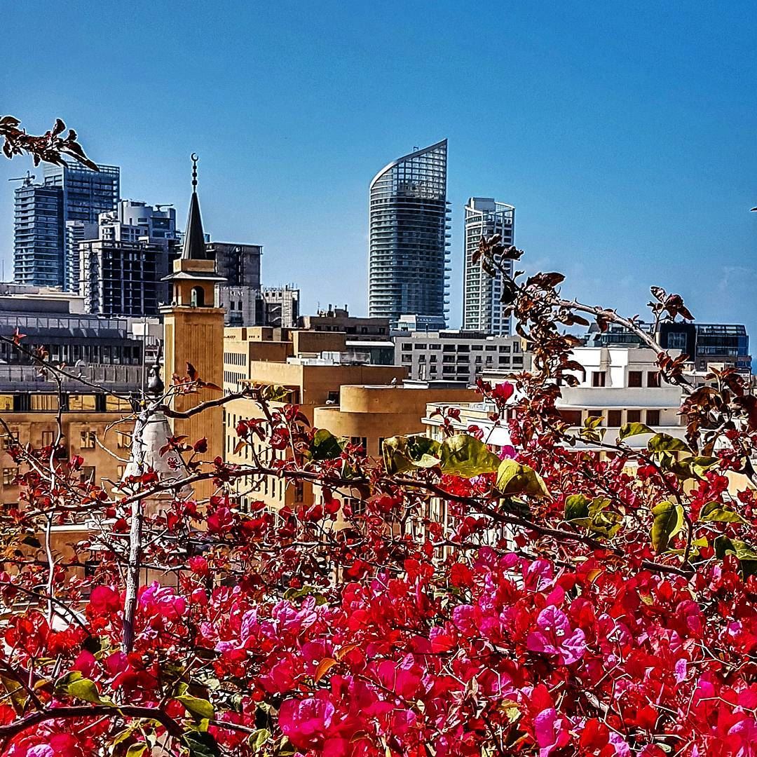 Spring in the city  beirut  beirutcity  mycity  downtown  spring ... (Le Gray, Beirut)