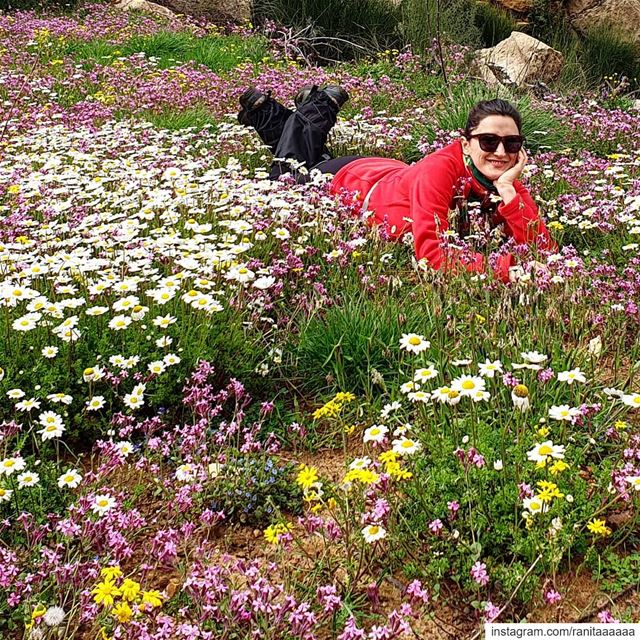 Spring is here❤ hikingadventures  lebanon🇱🇧  lebanoninapicture ...