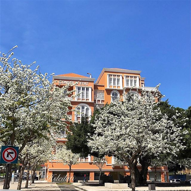 Spring is nature's way of saying:let's party 💞 insta_lebanon... (Downtown Beirut)