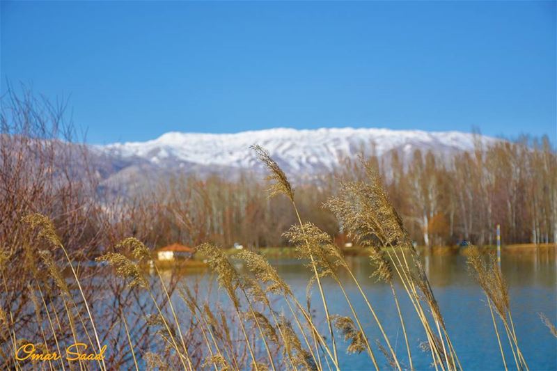  spring  lake  blue  sky  grass  snow  landscape  beautiful  weather ...