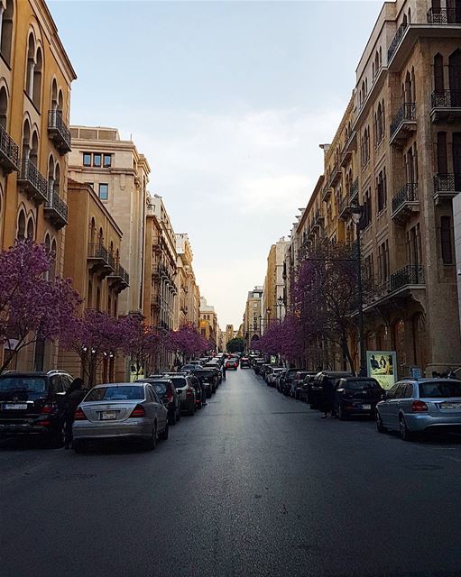 ... Spring mood 🌳🍁------.. Lebanon_HDR  Ливан  Бейрут  mylebanon ... (Downtown Beirut)