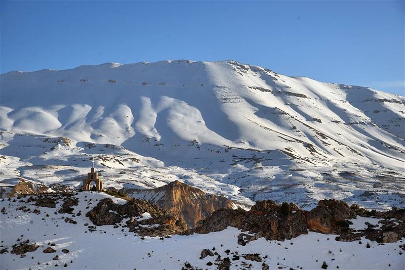 Spring slowly fading in ☀❄ (Cedars of God)