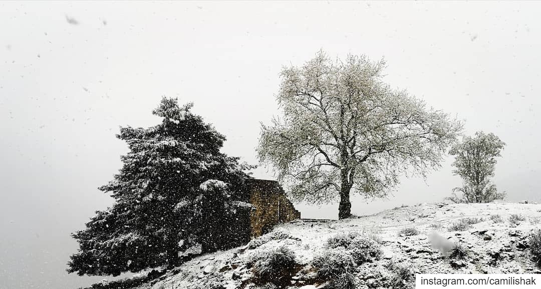 Spring snow in Ehden!  ehden liveloveehden snow nature lebanon north... (Ehden, Lebanon)