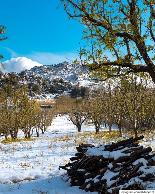 Spring vs. Winter 🍃❄ Swipe➡️21/04/2019....... landscape... (Kfarhouna - Jezzine)