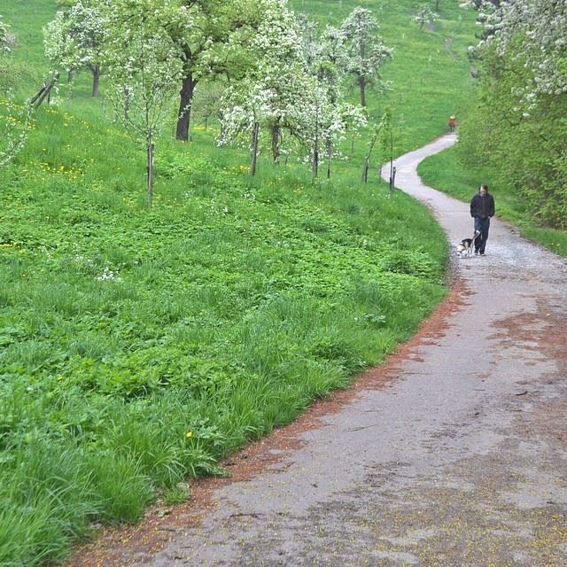  Spring  Walk  path  ig_leb  ig_lebanon  ig_europe  ig_prague  ig_captures...
