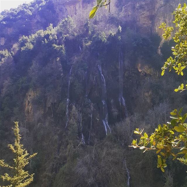 Spring water  waterfall  river  nature  naturelovers  lebanon  mylebanon...