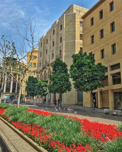 Springful Colorful Beirut🌳🌿❤️ ____________________________________... (Downtown Beirut)