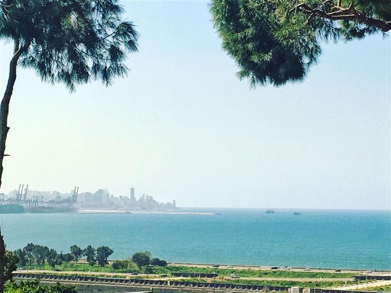  springtime in... (MTV Lebanon)