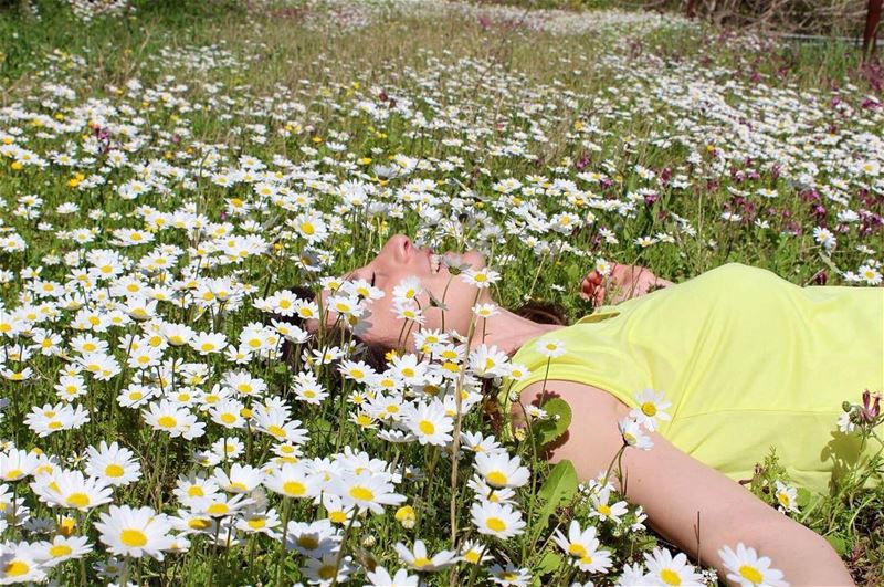  springtime  lebanontimes  flowerseverywhere  lovelyplace  natureaddict ... (Azour - Jezzine)