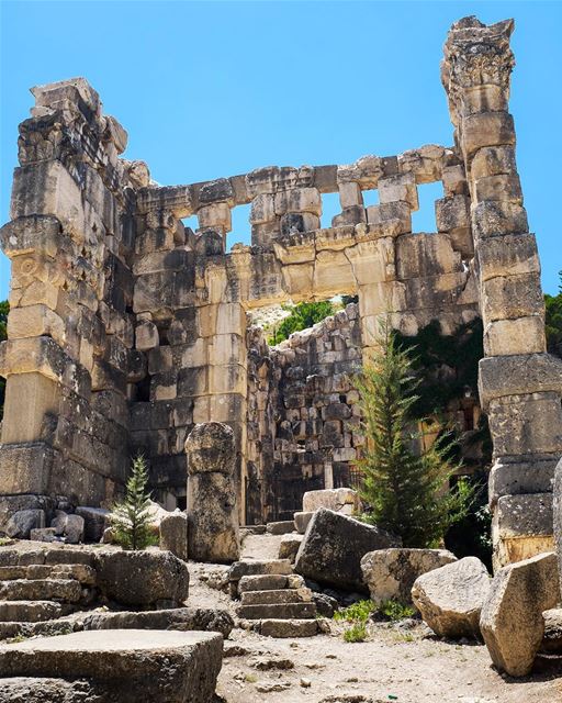 Staff of Life? I’ve wanted to visit Niha ever since I first heard about... (Niha, Béqaa, Lebanon)