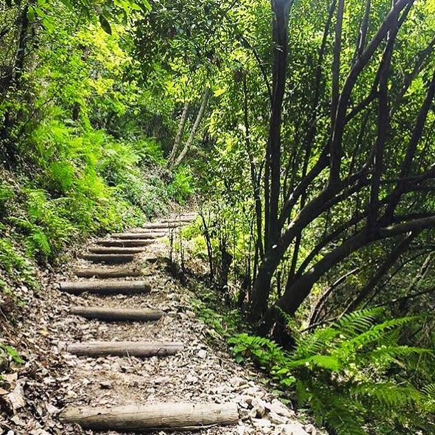  stairstoheaven  greenworld  amazingplace  amazingview  lebanon  kesrwen ... (Chouwen)